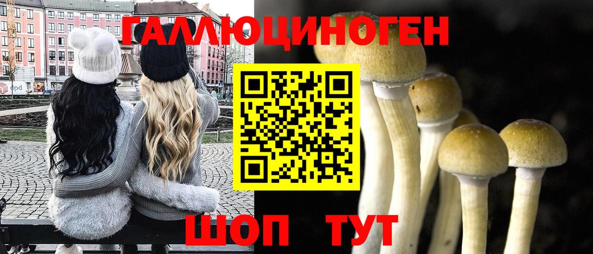 Галлюциногенные грибы MAGIC MUSHROOMS  Вход с VPN  Дубна  Псилоцибиновые грибы прущие грибы 